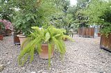 bad_langensalza_07_2016_orig_251