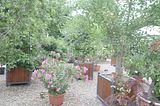 bad_langensalza_07_2016_orig_255