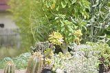 bad_langensalza_07_2016_orig_261