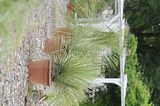 bad_langensalza_07_2016_orig_262