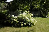 bad_langensalza_07_2016_orig_272