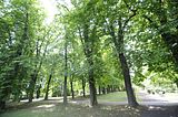 bad_langensalza_07_2016_orig_275