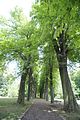 bad_langensalza_07_2016_orig_276