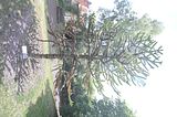 bad_langensalza_07_2016_orig_278
