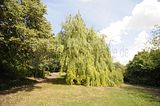 bad_langensalza_07_2016_orig_281