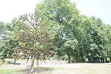 bad_langensalza_07_2016_orig_283