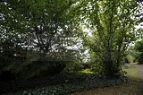 bad_langensalza_07_2016_orig_285