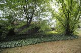 bad_langensalza_07_2016_orig_286