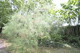 bad_langensalza_07_2016_orig_289