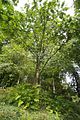 bad_langensalza_07_2016_orig_290