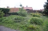 bad_langensalza_07_2016_orig_301