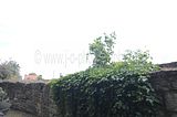 bad_langensalza_07_2016_orig_304