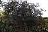 bad_langensalza_07_2016_orig_306