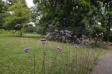 bad_langensalza_07_2016_orig_307