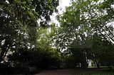 bad_langensalza_07_2016_orig_318