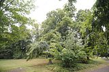 bad_langensalza_07_2016_orig_319