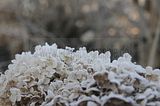 bad_langensalza_12_2016_26
