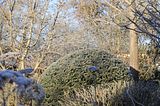 bad_langensalza_12_2016_27