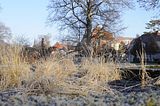 bad_langensalza_12_2016_35