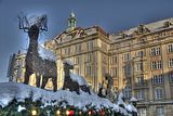 dresden-winter-2010-060