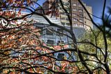 ef-architektur-040