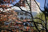 ef-architektur-041