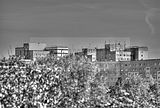 ef-architektur-051