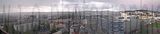 g-town_191