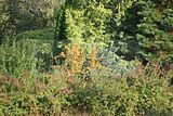 gera-fuchsturm-043