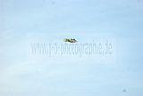 gera-rathausturm-062