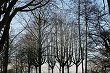 hamburg-093