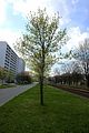 jena_lobeda_west_ost_040