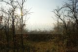jenzig-jena-006