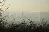 jenzig-jena-007