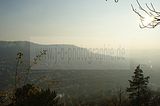 jenzig-jena-012
