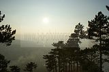 jenzig-jena-022