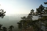 jenzig-jena-040