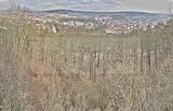 meiningen-032012-020