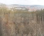 meiningen-032012-021