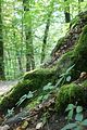 meiningen-082009-014