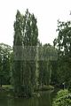 meiningen-082009-051