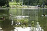 meiningen-082009-060