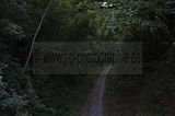 muehlhausen_09_2012_21