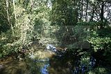 nordhausen-092009-095