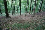 suhl-071