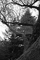 suhl-017