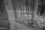 suhl-035