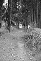 suhl-036