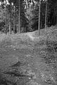 suhl-037