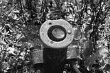 suhl-061